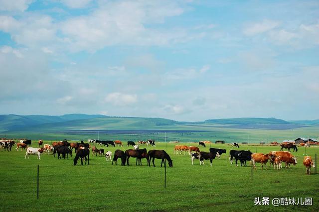 去內(nèi)蒙古旅游，有什么好玩的地方值得推薦？